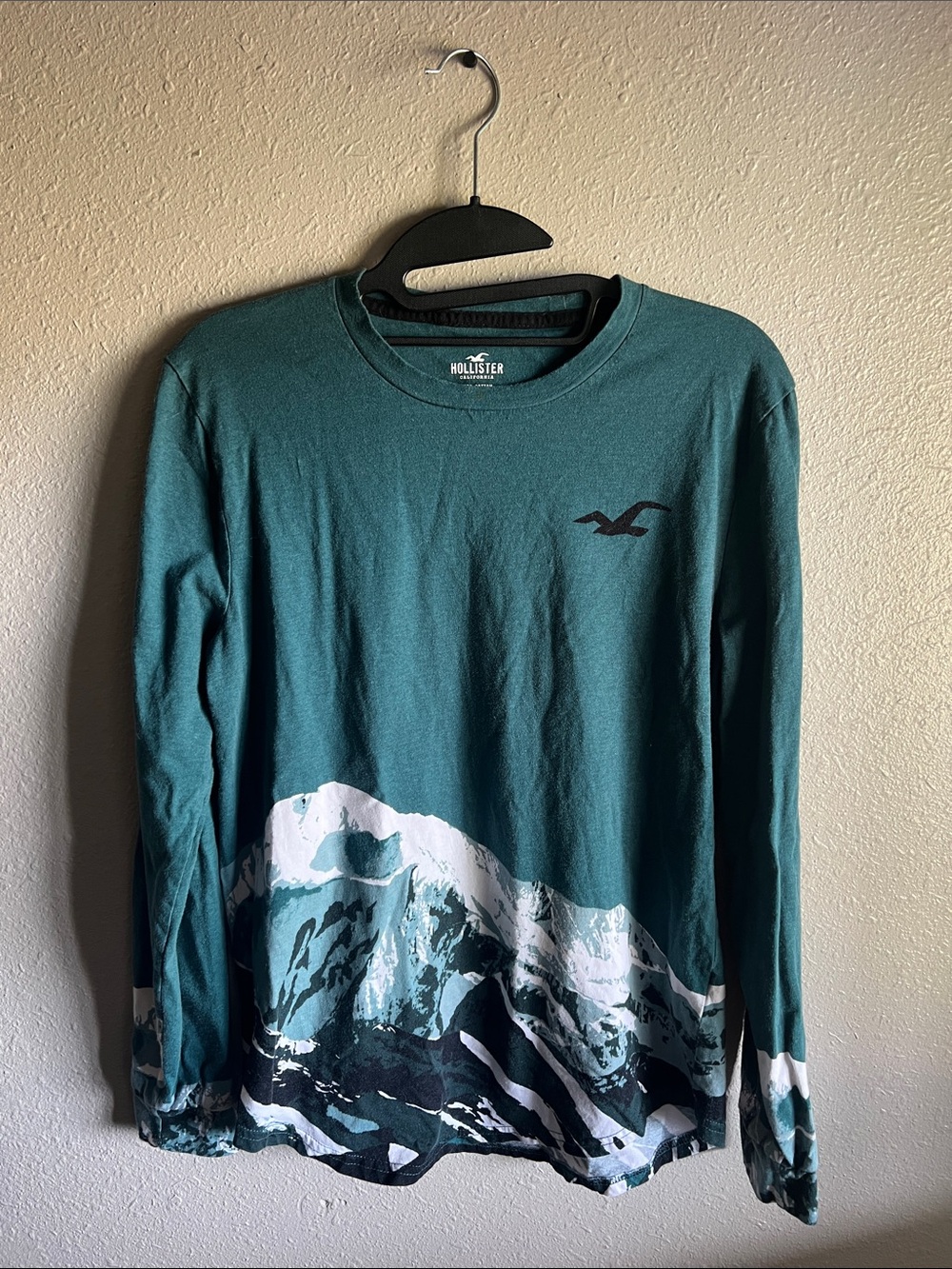 Hollister Men's Long-Sleeve Graphic Tee